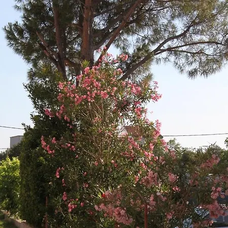 Appartement With A Parking Space Starigrad, Paklenica - 6595