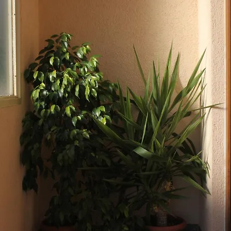 With A Parking Space Starigrad, Paklenica - 6595 *