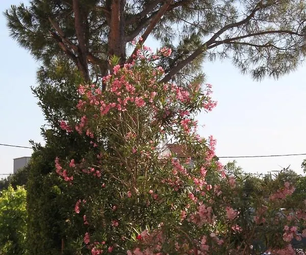 Lejlighed With A Parking Space Starigrad, Paklenica - 6595