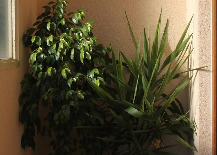 With A Parking Space Starigrad, Paklenica - 6595 *